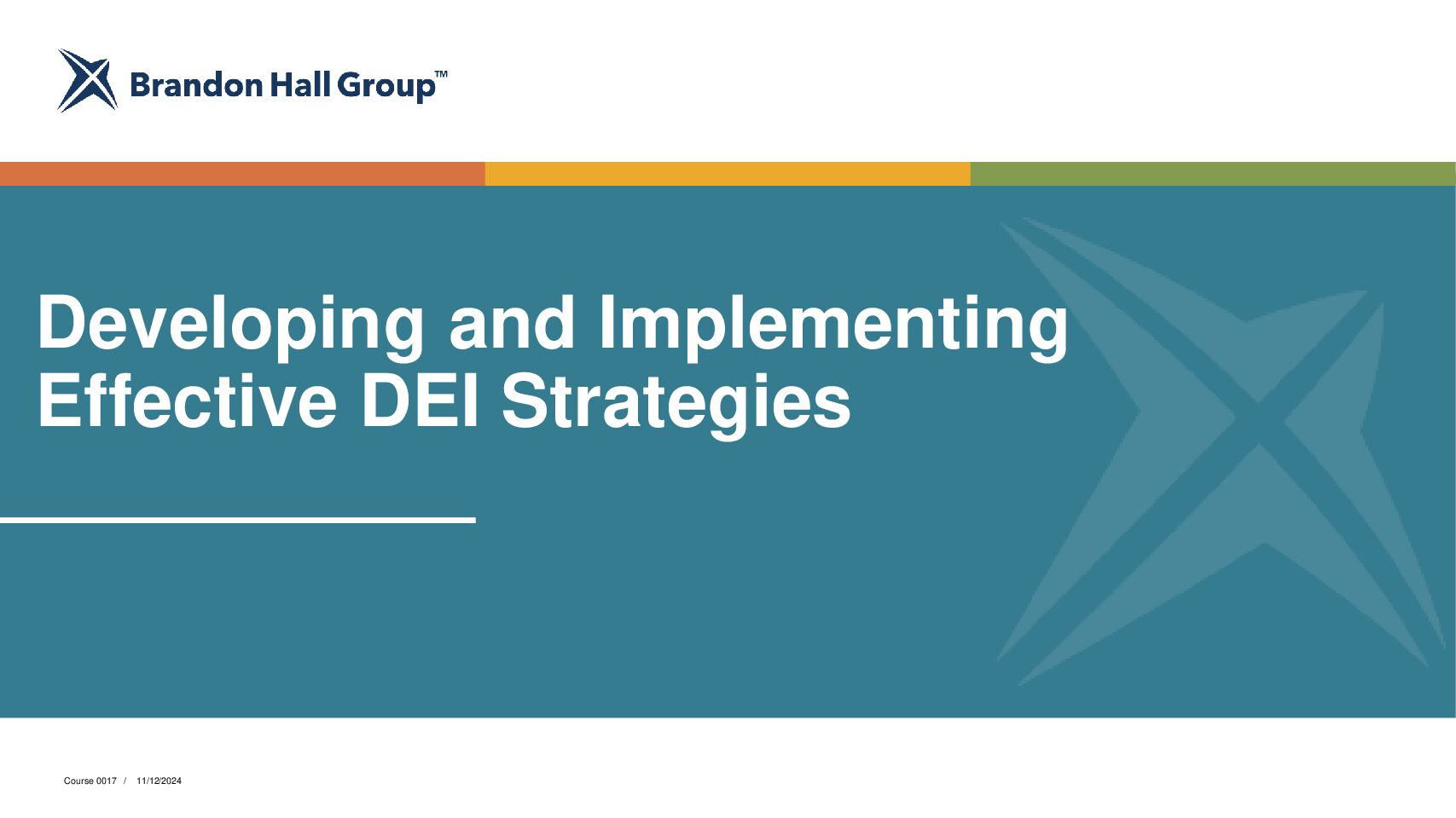 Developing and Implementing DEI Strategies (0017)